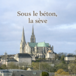 Sous le béton - Caroussel